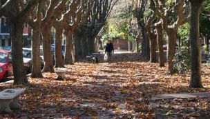 AMBA: ¿Cómo estará el clima este fin de semana?