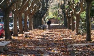 AMBA: ¿Cómo estará el clima este fin de semana?