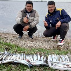 0805_mapa_pique_pesca
