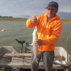 0805_mapa_pique_pesca