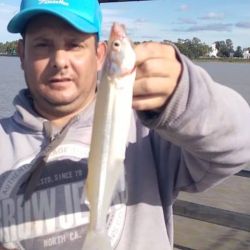 0805_mapa_pique_pesca