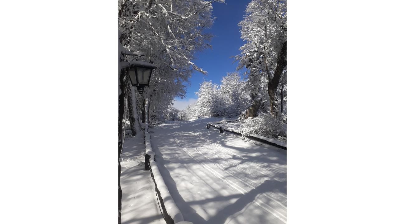 Temporada de invierno 2026 en Bariloche: asegurá tus excursiones