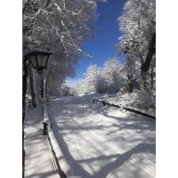 Temporada de invierno 2026 en Bariloche: asegurá tus excursiones