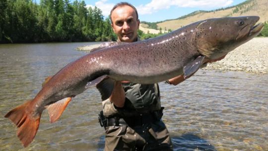 Peces foráneos fuera de control: el fenómeno que preocupa a científicos y pescadores deportivos