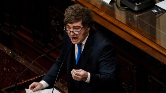Economists cast doubt on Milei’s freen shoots in weary Argentina