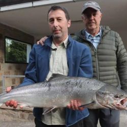 La desaparición temporal del campanu se convirtió en un símbolo de una problemática mucho más profunda: el delicado estado de conservación del salmón atlántico en Europa.