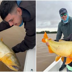 Las zonas de pesca más rendidoras suelen encontrarse navegando tanto hacia el sur, rumbo a La Paz, como hacia el norte, en dirección a Goya, siempre en busca de barrancas, palos, bancos de arena y sectores poco presionados.