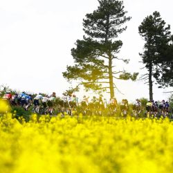 El pelotón compite durante la segunda etapa del Giro de Italia 2026, entre Burgas y Veliko Tarnovo (Bulgaria). | Foto:Luca Bettini / AFP