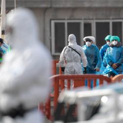 Pasajeros con trajes protectores azules suben a un autobús militar tras ser evacuados del crucero MV Hondius, de bandera holandesa y afectado por el hantavirus, en el puerto industrial de Granadilla de Abona, en la isla de Tenerife (Islas Canarias, España). Los vuelos de repatriación para los casi 150 pasajeros a bordo del barco, afectado por el mortal brote de hantavirus, comenzaron cuando los pasajeros fueron trasladados a tierra en embarcaciones más pequeñas y luego en autobús al aeropuerto para volar a sus hogares tras semanas en el mar. | Foto:JORGE GUERRERO / AFP