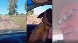 El emotivo reencuentro entre un perro y su dueño tras una intensa búsqueda: "Me siento feliz"