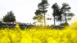 El pelotón compite durante la segunda etapa del Giro de Italia 2026, entre Burgas y Veliko Tarnovo (Bulgaria).