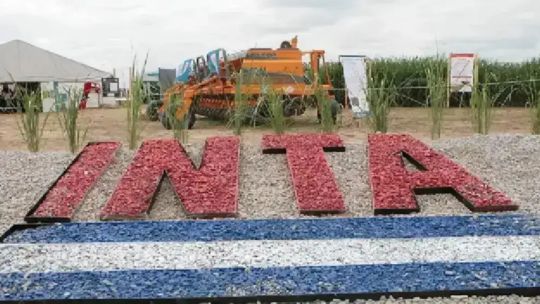 “Hay menos recursos para llevar adelante las distintas investigaciones que han caracterizado al INTA”