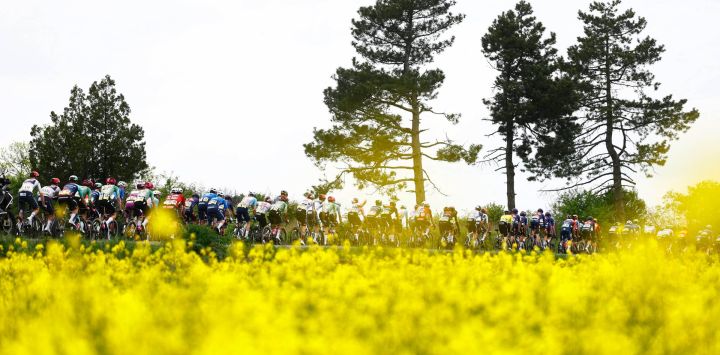 El pelotón compite durante la segunda etapa del Giro de Italia 2026, entre Burgas y Veliko Tarnovo (Bulgaria).