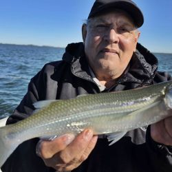 Los piques se dieron mejor entre los 40 y 70 cm, con mojarra viva como carnada preferida de los pejerreyes. Entre una cuota de piezas medianas, sobresalieron algunas capturas mayores a los 700 g, confirmando el buen presente del ámbito y augurando un promisorio futuro.
