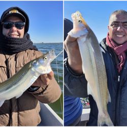 Los piques se dieron mejor entre los 40 y 70 cm, con mojarra viva como carnada preferida de los pejerreyes. Entre una cuota de piezas medianas, sobresalieron algunas capturas mayores a los 700 g, confirmando el buen presente del ámbito y augurando un promisorio futuro.