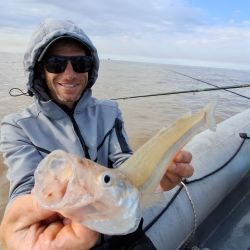 La respuesta del pescado fue excelente durante toda la jornada. Los ejemplares capturados oscilaron entre los 35 y 42 cm, mostrando además una notable vitalidad y combatividad. 