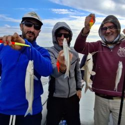 La respuesta del pescado fue excelente durante toda la jornada. Los ejemplares capturados oscilaron entre los 35 y 42 cm, mostrando además una notable vitalidad y combatividad. 