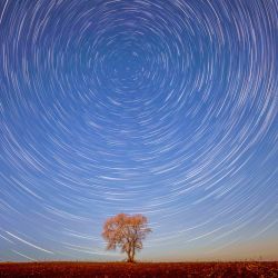 Imagen compuesta del cielo estrellado, en Shuangyashan, en la provincia de Heilongjiang, en el noreste de China. Heilongjiang, la provincia más septentrional de China, ha recibido recientemente un espectáculo de cielo estrellado extendiéndose sobre flores en floración. | Foto:Xinhua/Han Yang