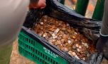 Encuentran 400 kilos de monedas y basura electrónica en las Cataratas del Iguazú