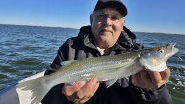 Los piques se dieron mejor entre los 40 y 70 cm, con mojarra viva como carnada preferida de los pejerreyes. Entre una cuota de piezas medianas, sobresalieron algunas capturas mayores a los 700 g, confirmando el buen presente del ámbito y augurando un promisorio futuro.