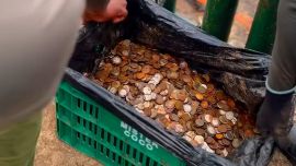 Parte de las monedas halladas.