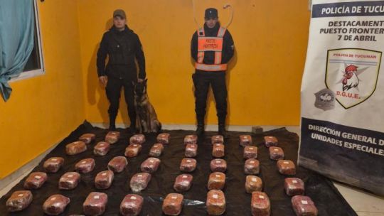 La Policía de Tucumán incautó 48 kilos de marihuana y detuvo a dos mujeres