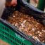 1205_monedas