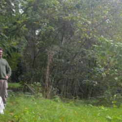 Una de las aves rapaces que fueron reinsertadas en la naturaleza.
