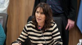 Diputada nacional Natalia de la Sota 