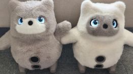 Kata friends