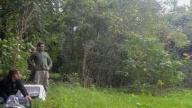 Una de las aves rapaces que fueron reinsertadas en la naturaleza.