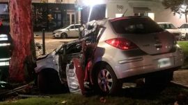 Tragedia en Villa Luro: una mujer murió tras chocar contra un árbol