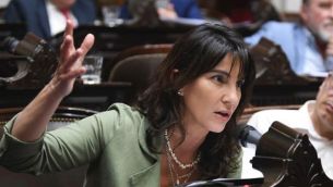 Natalia de la Sota, diputada nacional 