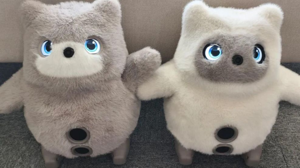 Kata friends