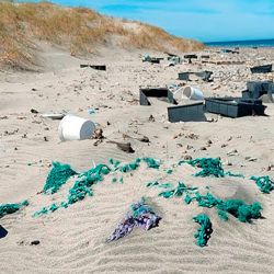 Ese incremento en la actividad generó también una mayor circulación de materiales plásticos y elementos descartables vinculados a la operatoria pesquera, muchos de los cuales terminan en el mar o arrastrados hacia la costa por las corrientes.