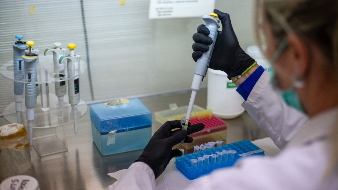 Laboratory technician Luciana Plum demonstrates a DNA extraction process at the Population Genetics and Evolution Laboratory of the Institute of Diversity and Animal Ecology (IDEA-CONICET-UNC) at the Faculty of Exact, Physical and Natural Sciences…