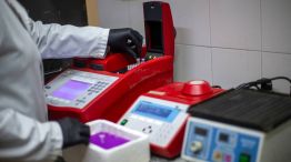 Biólogos argentinos buscarán si hay vector de hantavirus en Ushuaia 14052026