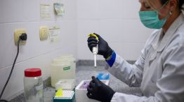 Biólogos argentinos buscarán si hay vector de hantavirus en Ushuaia 14052026