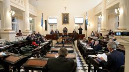 camara de diputados