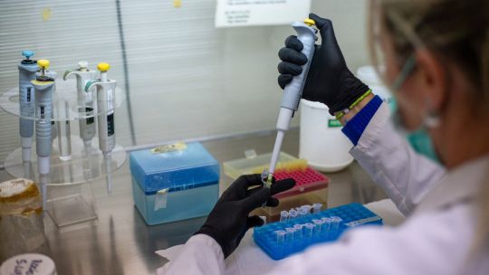 World Health Organization confirms eight cases of Andes hantavirus in outbreak