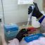 World Health Organization confirms eight cases of Andes hantavirus in outbreak