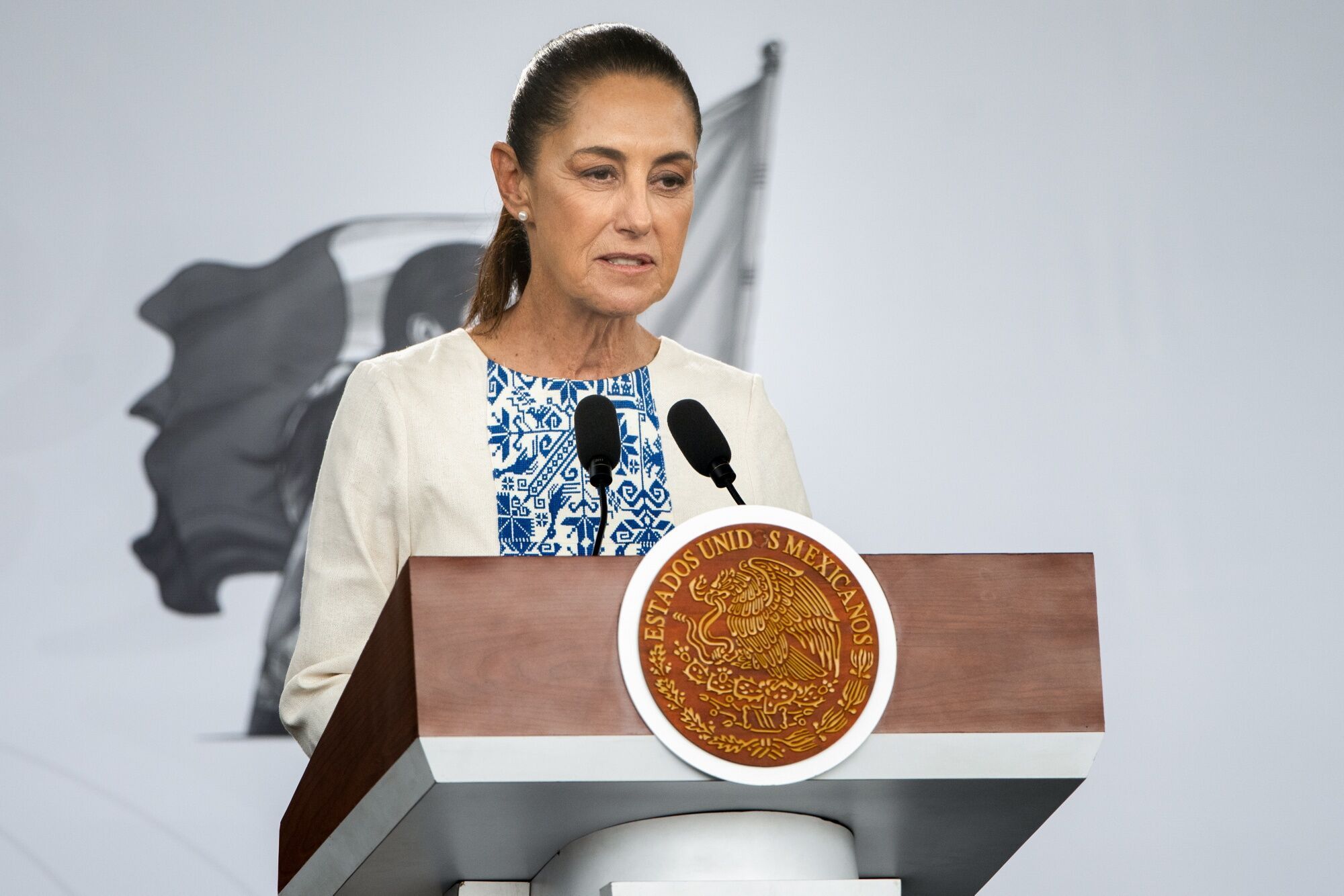 President Sheinbaum Announces Steps To Boost Mexico's Private Investment