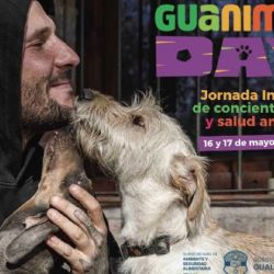 La propuesta se desarrollará el sábado 16 y domingo 17 de mayo en el Mercado del Munilla 