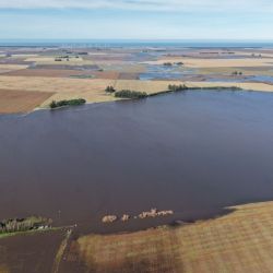 Tras un fin de semana desapacible, las expectativas son altas para los pescadores ávidos de buenos piques. 