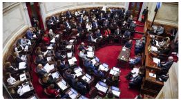 14052026 senado 