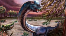 Dinosaurio Nagatitan chaiyaphumensis 15052026