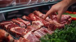 La Unión Europea prohibiría la carne brasileña por la normativa sanitaria.