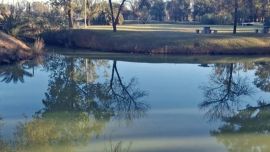 Mientras esperan los resultados oficiales del laboratorio, desde el municipio recomendaron no pescar ni consumir ejemplares extraídos de la laguna, además de evitar el uso del agua del lugar hasta contar con información certera sobre lo ocurrido.