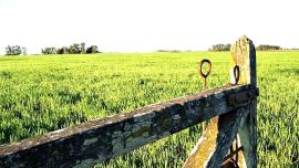 Agro: el oficio del pasado, la profesión del futuro