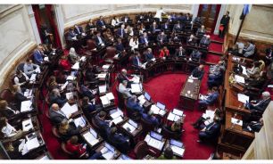 14052026 senado 